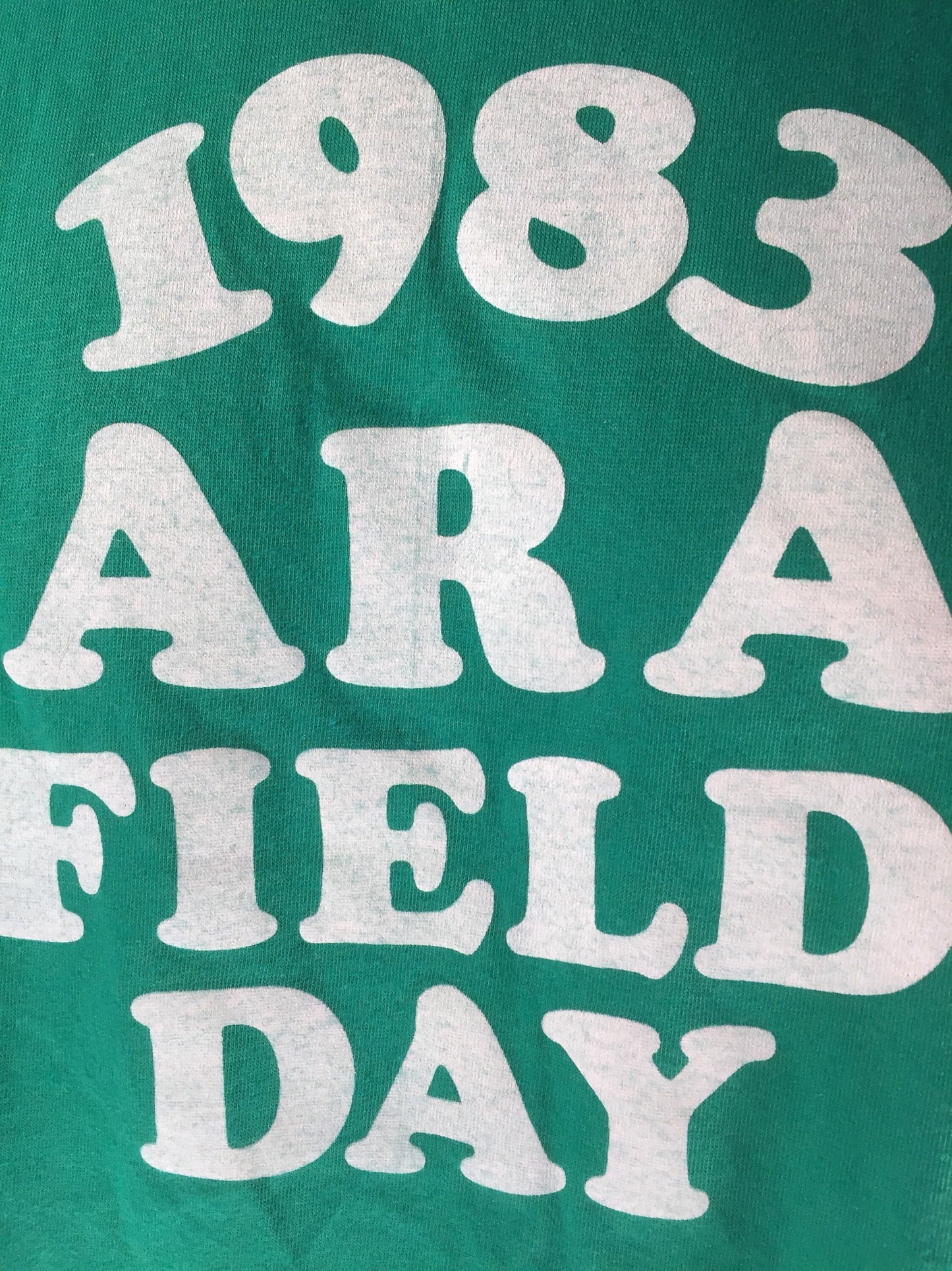 Vintage 80s // 1983 Large HANES 50/50 T-Shirt // ARA Field Day // Flock Lettering // Single Stitch // Green // USA