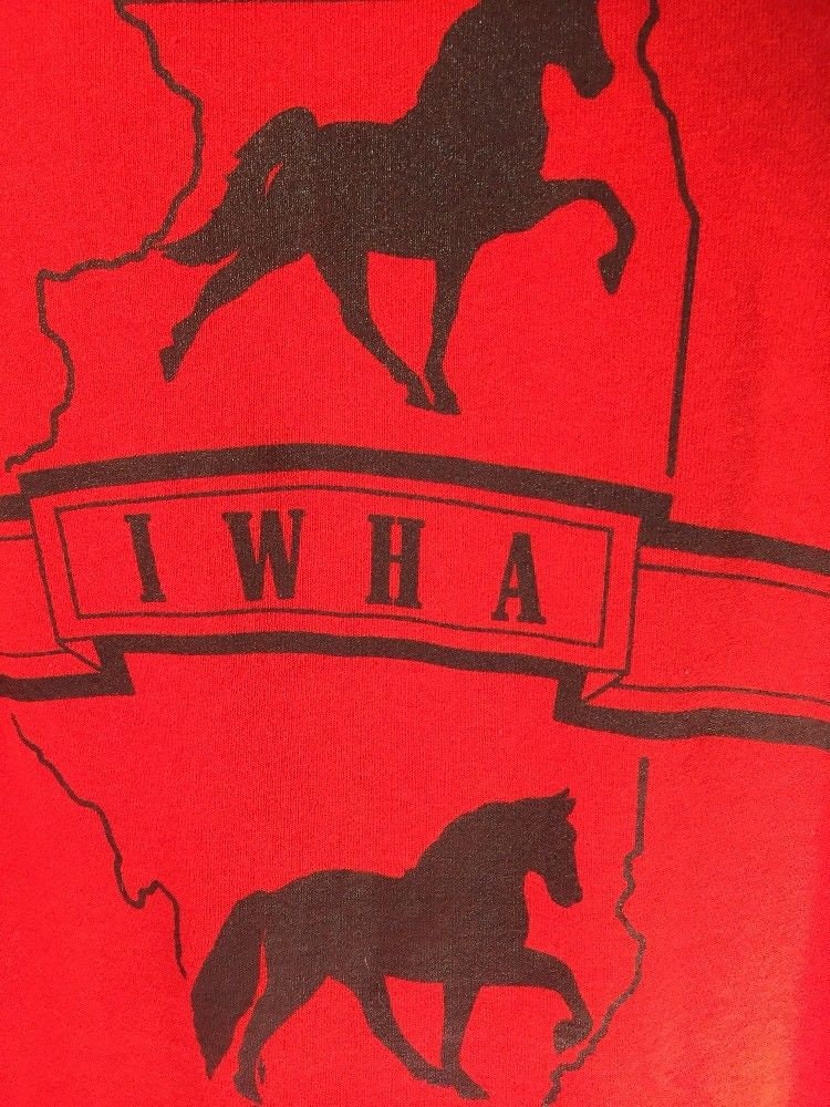 Vintage 90s // Screen Stars Best // Illinois Walking Horse Association // Large // Red // T-Shirt // Single Stitch // Made in USA
