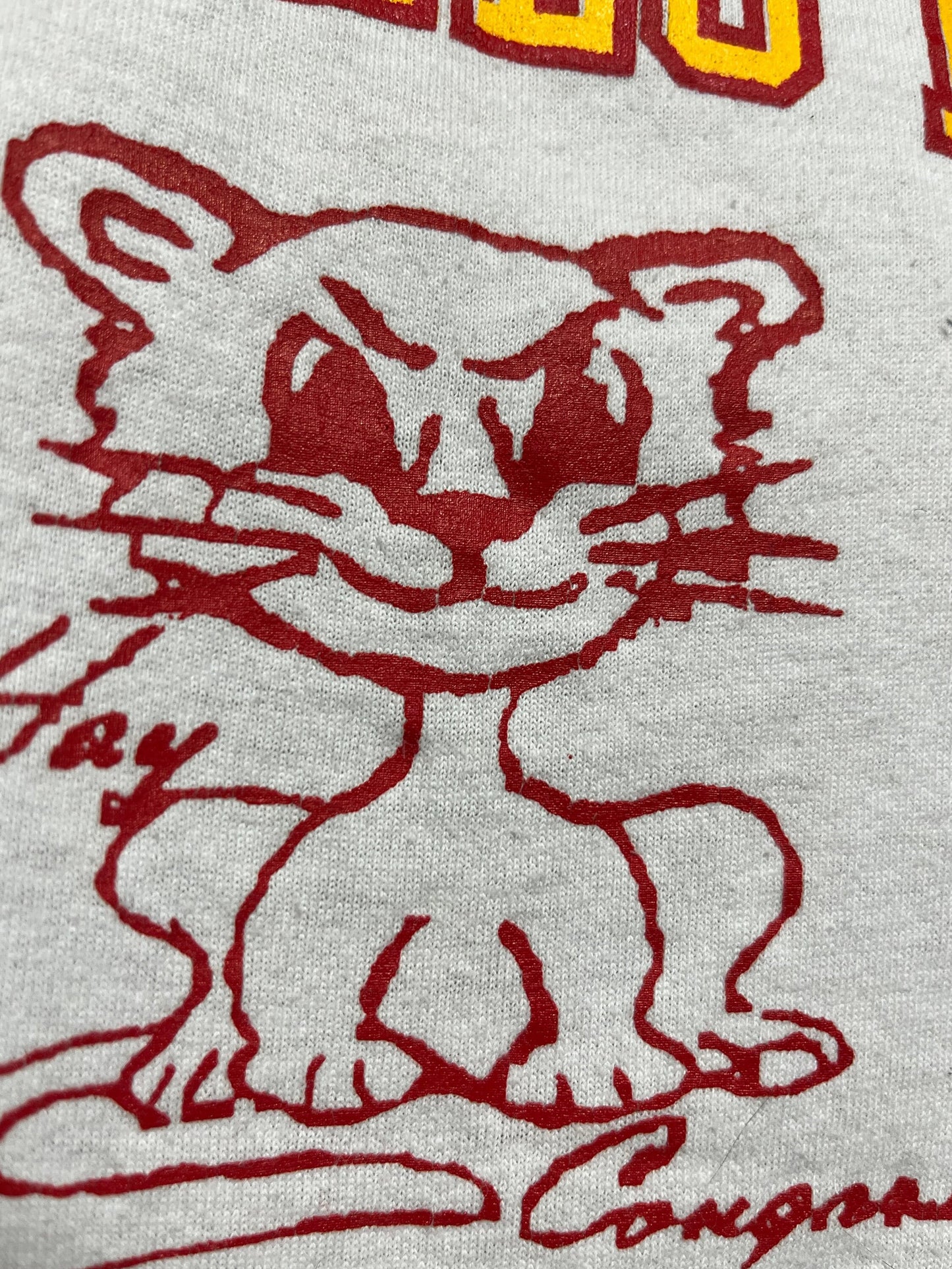 Vintage 90s Charles Hay Cougars Small Hanes Heavyweight T-shirt White USA Single-stitch