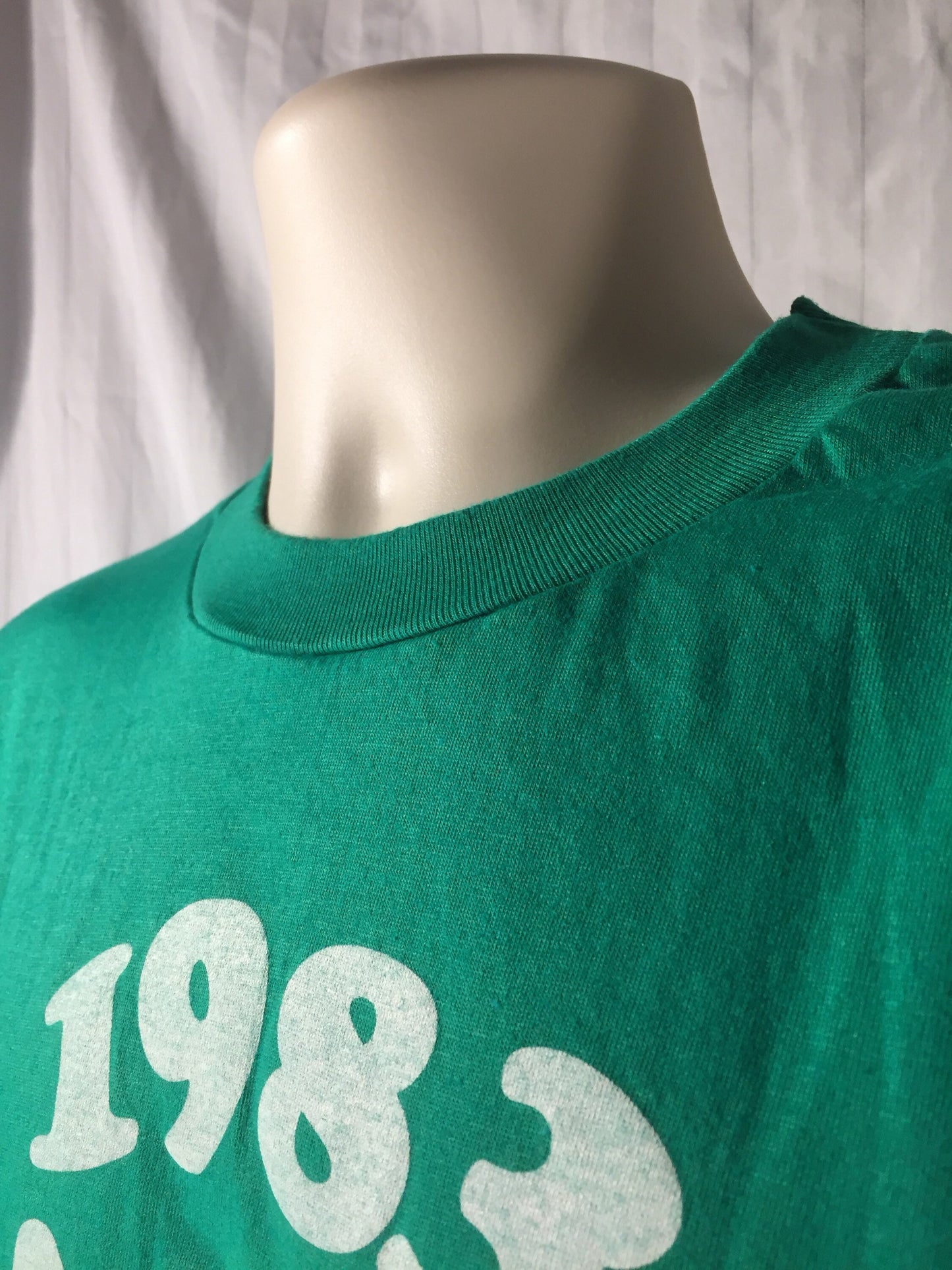 Vintage 80s // 1983 Large HANES 50/50 T-Shirt // ARA Field Day // Flock Lettering // Single Stitch // Green // USA