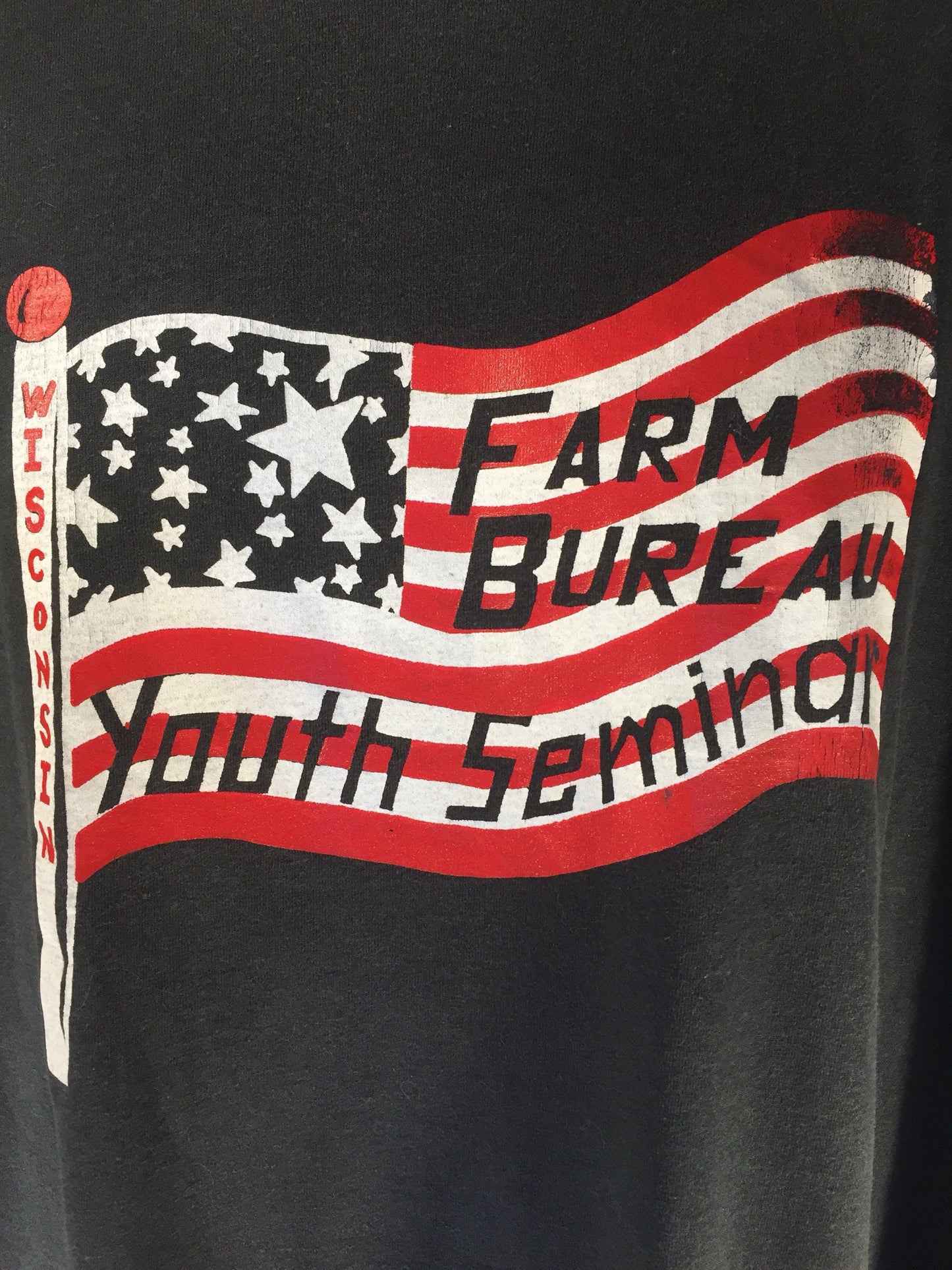 Vintage 90s // XL Fruit of the Loom Best // Wisconsin Farm Bureau Youth Seminar // 50/50 T-Shirt // Black // USA // Single Stitch // Flag