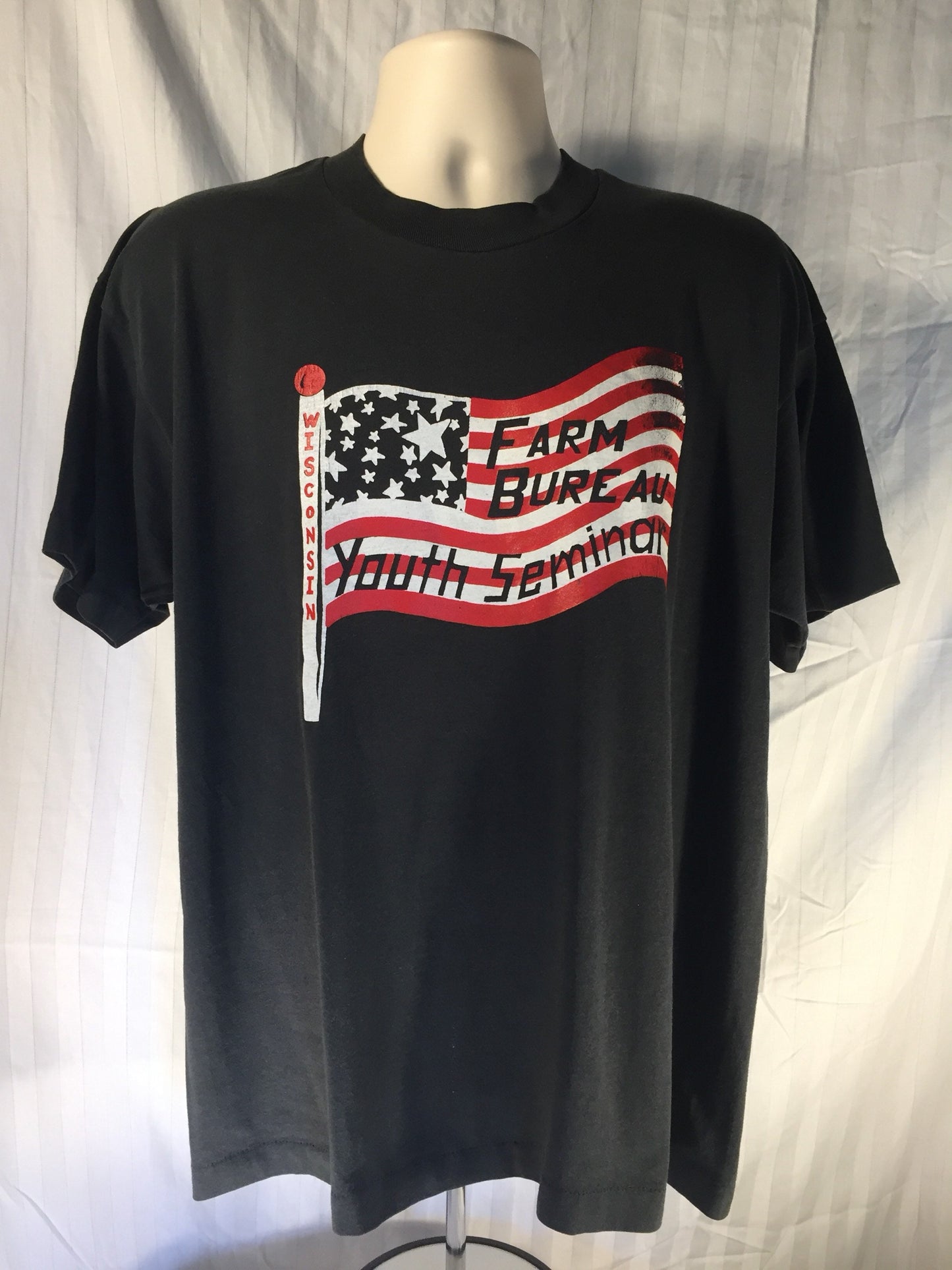 Vintage 90s // XL Fruit of the Loom Best // Wisconsin Farm Bureau Youth Seminar // 50/50 T-Shirt // Black // USA // Single Stitch // Flag
