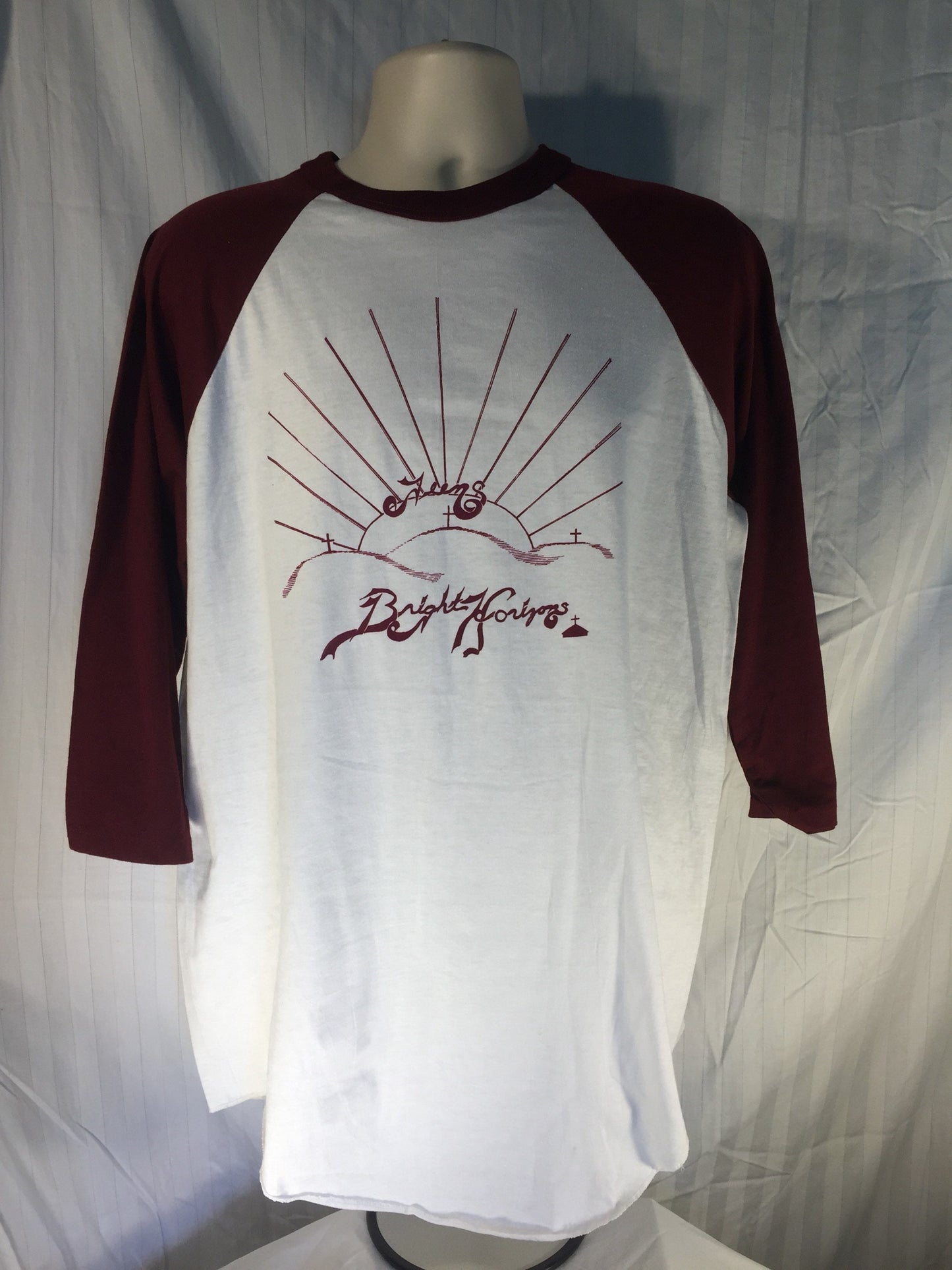 Vintage 80s XL Sport-T by STEDMAN // Bright Horizons Christian T-Shirt // 50/50 // Made in USA