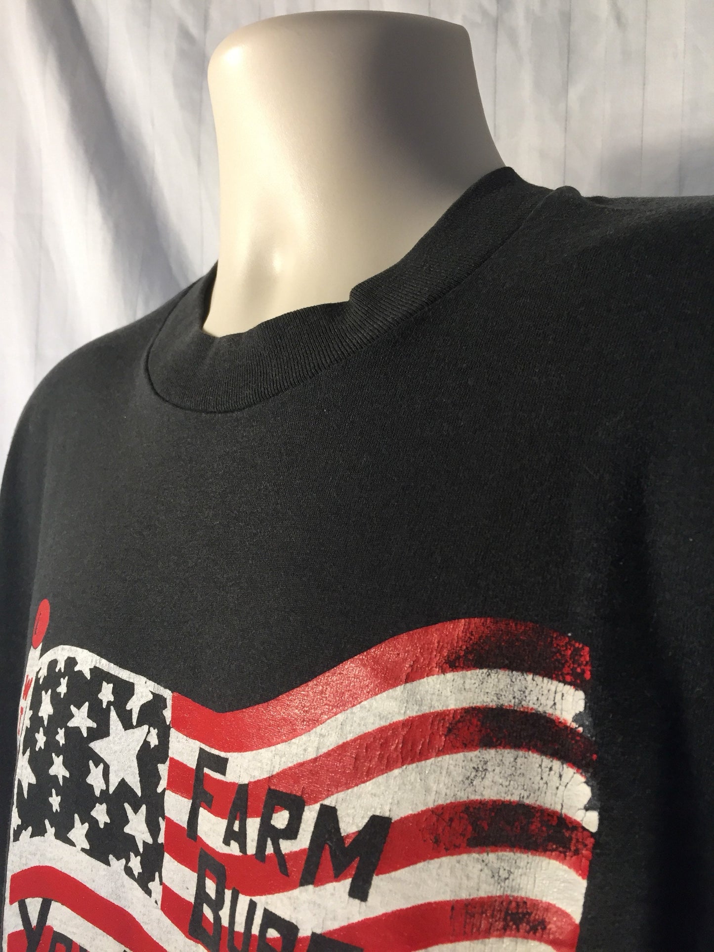Vintage 90s // XL Fruit of the Loom Best // Wisconsin Farm Bureau Youth Seminar // 50/50 T-Shirt // Black // USA // Single Stitch // Flag