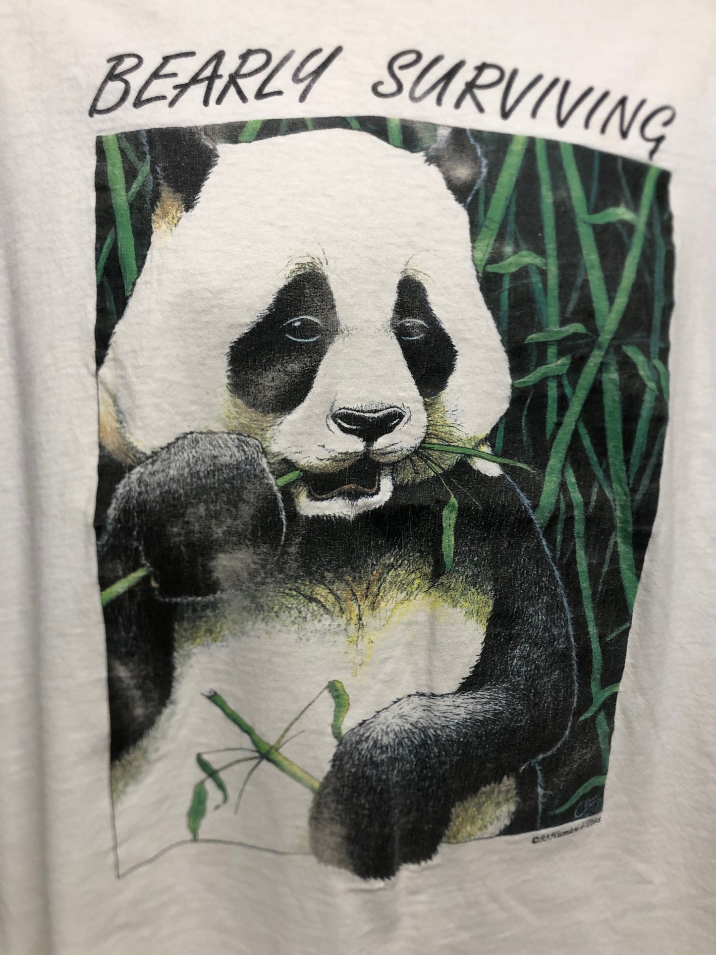 Vintage 90s Panda Human I Tees Nearly Surviving Large Hanes Heavyweight 1993 USA T-shirt