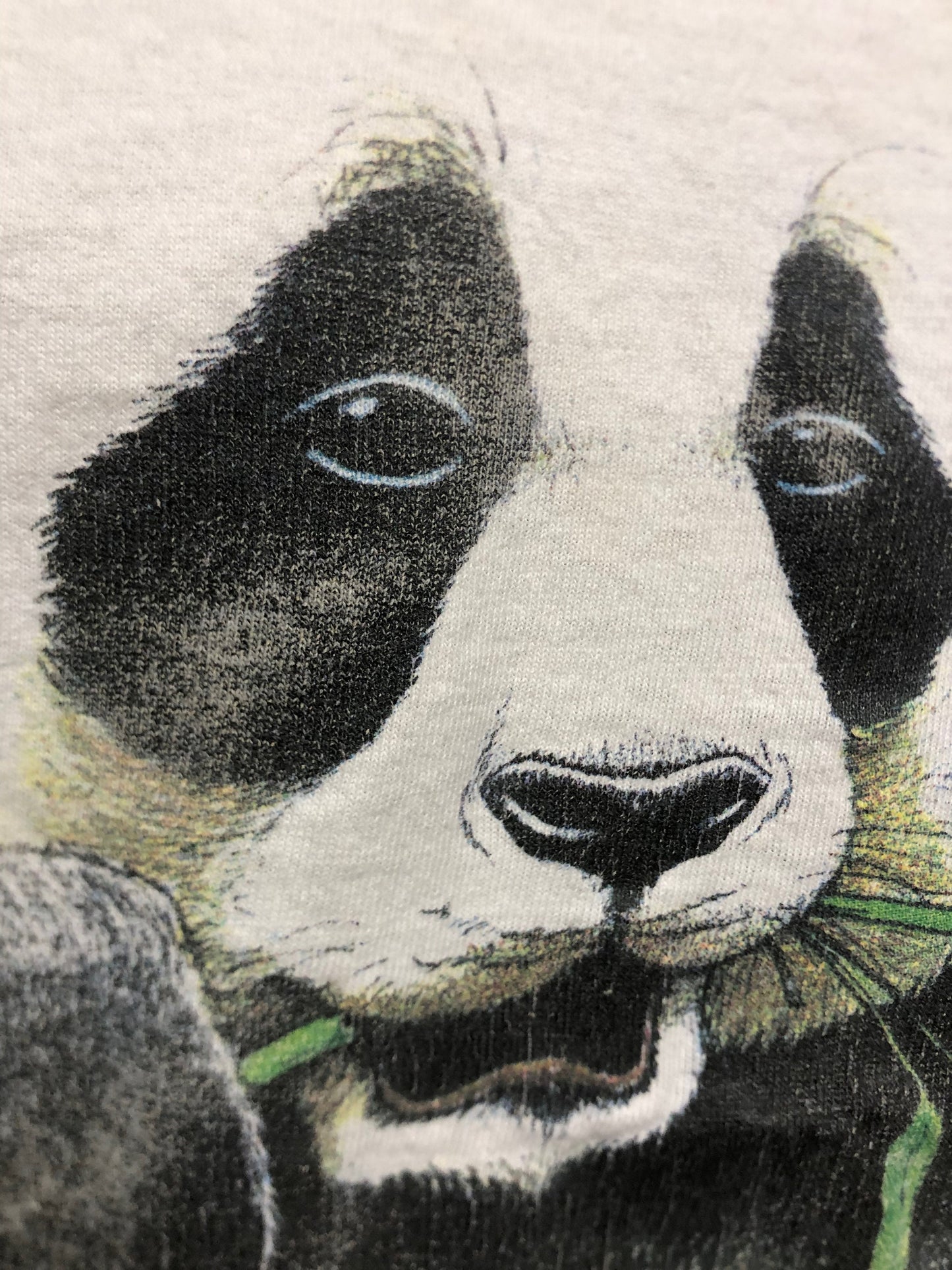 Vintage 90s Panda Human I Tees Nearly Surviving Large Hanes Heavyweight 1993 USA T-shirt